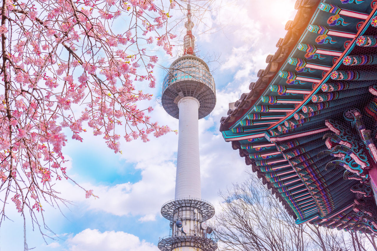 Seoul,South Korea - 7 April 2018 : Cherry blossom in spring and seoul tower in South Korea.